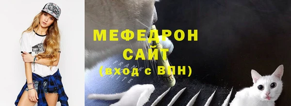дмт Бородино