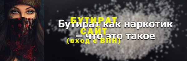дмт Бородино