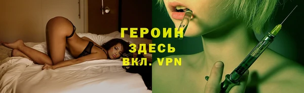 дмт Бородино