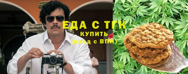 дмт Бородино