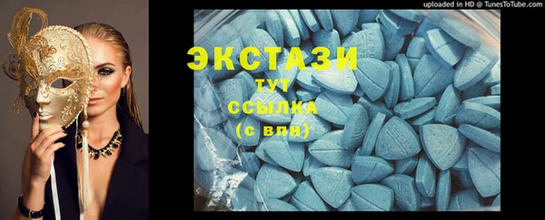 дмт Бородино