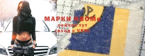 дмт Бородино