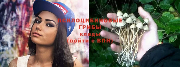 дмт Бородино